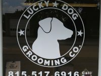 LUCKY DOG GROOMING CO.
