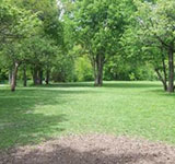 Pioneer Park Disc Golf Course