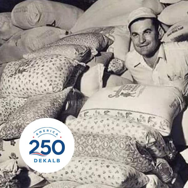 View details for Fiber Arts Club