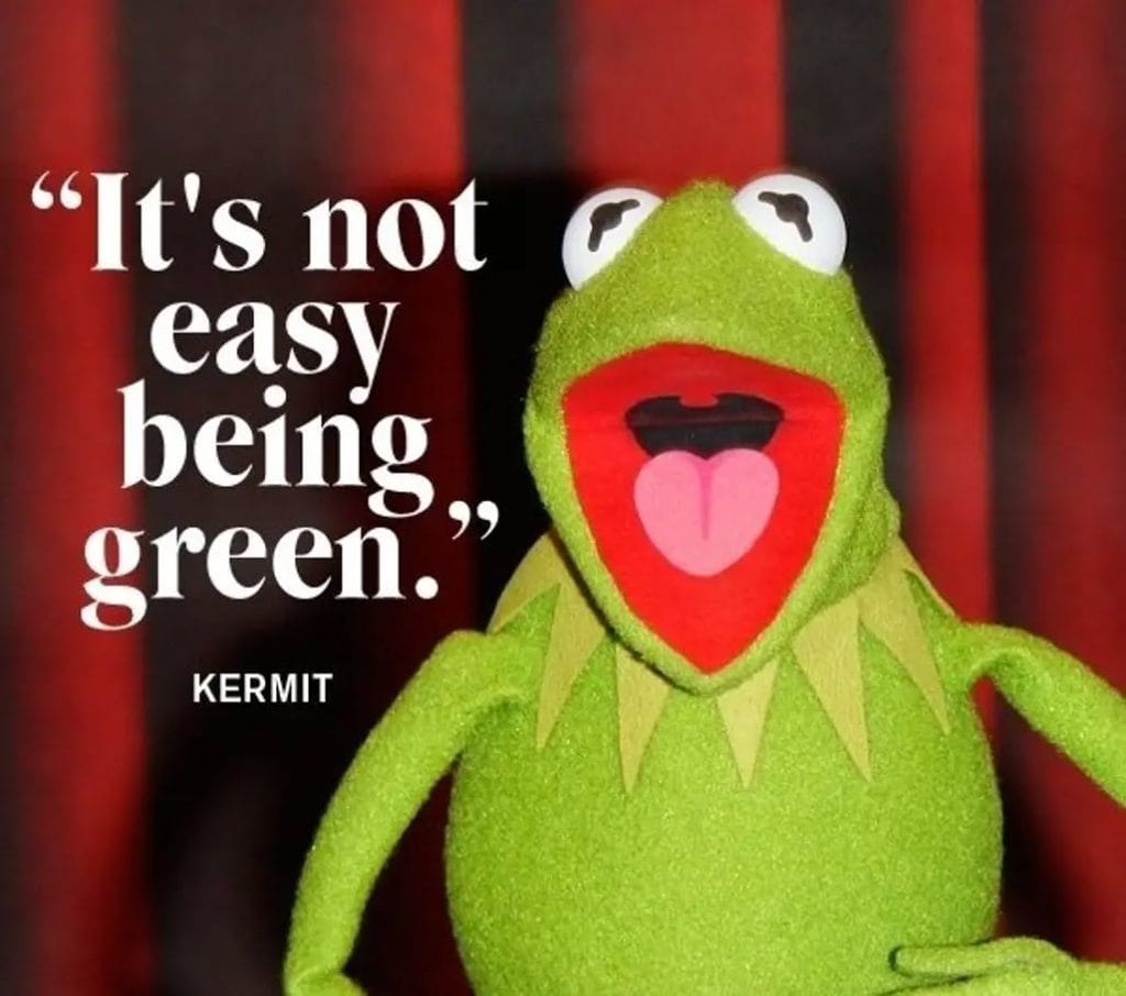 Kermit the frog with quote "It's not easy being green"