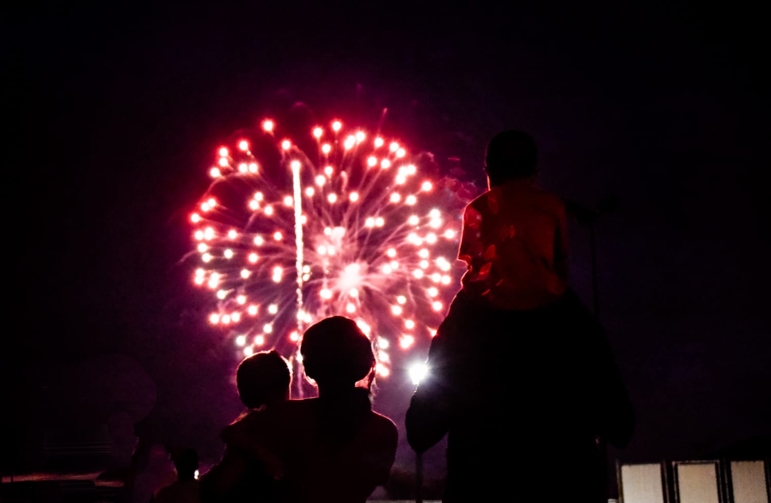 Family with a firework in the sky
